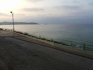 oran 183